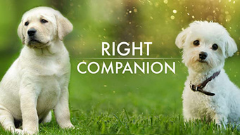 The Right Companion (2009)