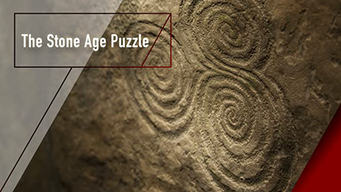The Stone Age Puzzle (2013)