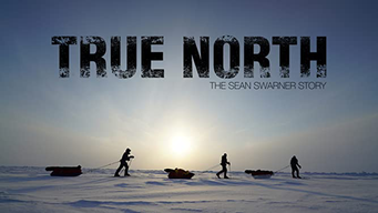 True North: The Sean Swarner Story (2017)