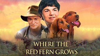 Where the Red Fern Grows (2003)