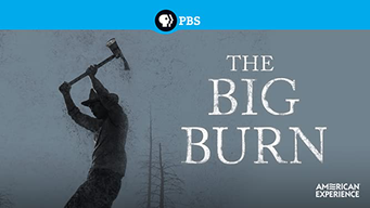 American Experience: The Big Burn (2014)