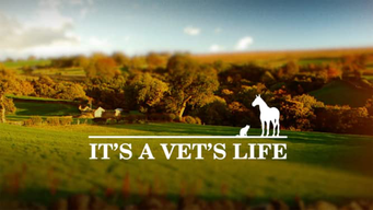 It's A Vet's Life (2014)