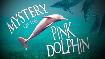 Mystery of the Pink Dolphin (2016)