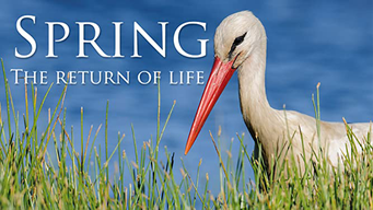 Spring - The Return of Life (2019)