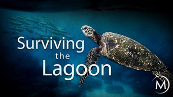 Surviving the Lagoon (2018)