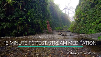 15 Minute Forest Stream Meditation (2020)