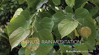 15 Minute Rain Meditation (2020)