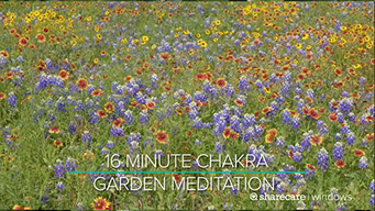 16 Minute Chakra Garden Meditation (2020)