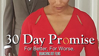30 Day Promise (2017)