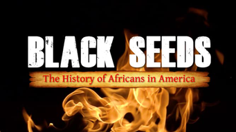 Black Seeds: The History of Africans in America (2021)