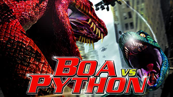 boa vs python fight