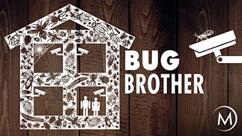 Bug Brother (2006)