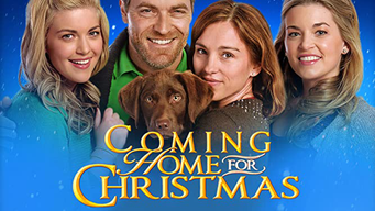 Coming Home For Christmas (2013)