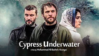 Cypress Under Water (2018)