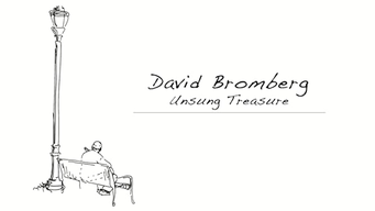 David Bromberg: Unsung Treasure (2012)