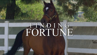 Finding Fortune (2016)