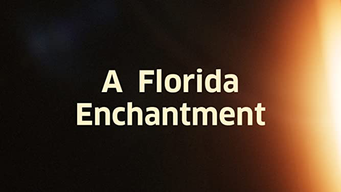 Florida Enchantment, A (1914)