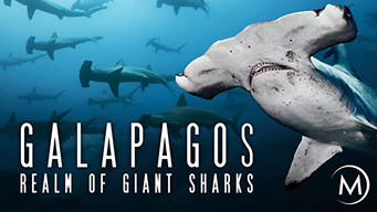 Galapagos: Realm of Giant Sharks (2012)