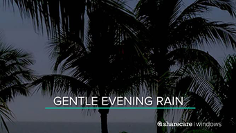 Gentle evening rain (2016)