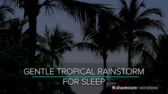 Gentle Tropical Rainstorm for Sleep 9 Hours (2017)