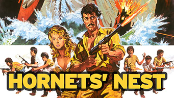 Hornet's Nest (1970) (1970)