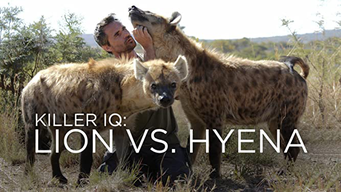 Killer IQ: Lion vs. Hyena (2015)