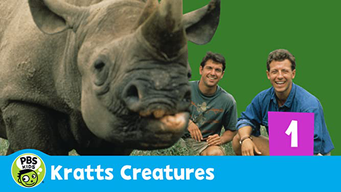 Kratts' Creatures (1996)