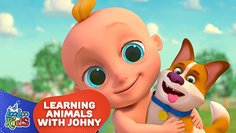 Learning Animals with Johny - LooLoo Kids (2021)