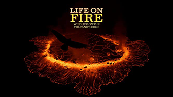 Life on Fire: Wildlife on the Volcano's Edge (2013)