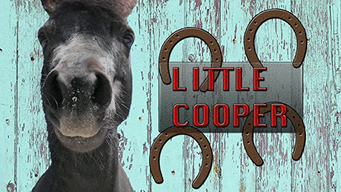 Little Cooper (2020)