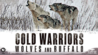 Nature: Cold Warriors: Wolves and Buffalo (2013)