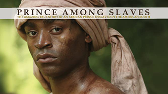 Prince Among Slaves (2008)