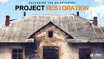 Project Restoration (2016)