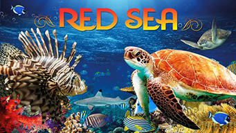Red Sea (2017)
