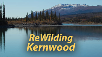 ReWilding Kernwood (2020)