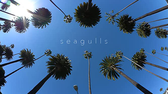 Seagulls (2021)