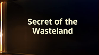 Secret of the Wasteland (1941)