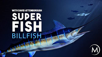 Superfish: Billfish, with David Attenborough (2008)