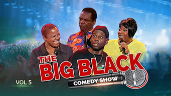 The Big Black Comedy Show, Vol. 5 (2006)