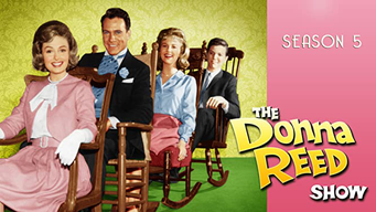 The Donna Reed Show (1963)