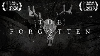 The Forgotten (2017)