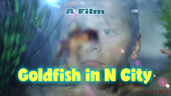 The Goldfish in N City (2011)