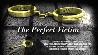 The Perfect Victim (2013)