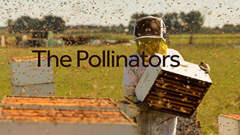 The Pollinators (2020)