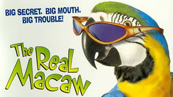 The Real Macaw (1999)