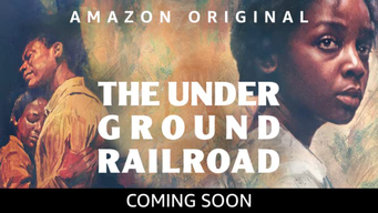 The Underground Railroad (2021)