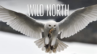 Wild North (2014)
