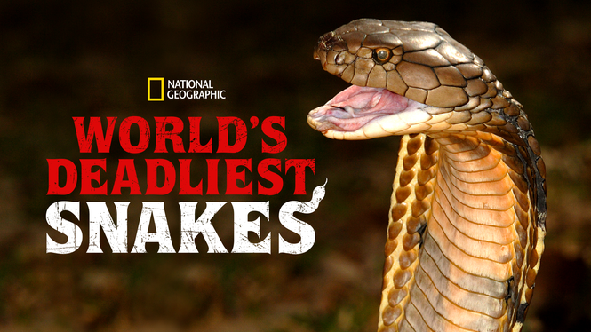 World’s Deadliest Snakes (2020) - Disney+ | Flixable