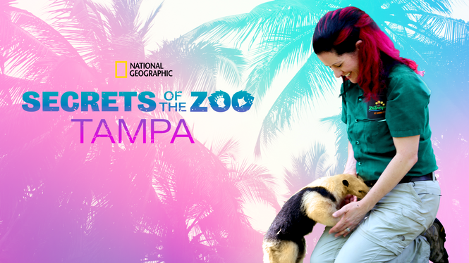 Secrets of the Zoo: Tampa (2020) - Disney+ | Flixable