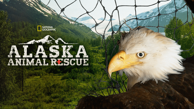 Alaska Animal Rescue (2019) - Disney+ | Flixable